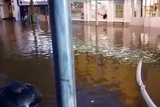 thumbnail: An image from a video shared by Cork City Council of their crews working on flooding in Blackpool, just north of the city