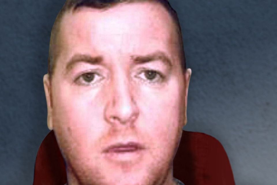 Stephen Carberry's younger brother Richie (pictured) was shot dead outside his Meath home in November 2019
