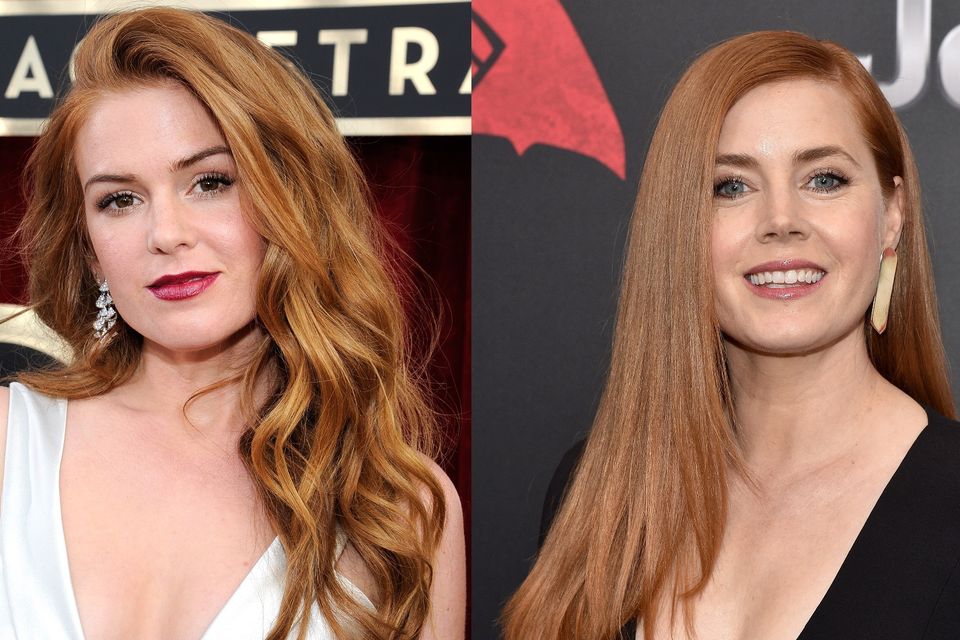 Isla Fisher and Amy Adams are set to co-star in Nocturnal Animals.
