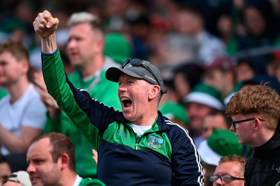 A Limerick supporter celebrates during his team's draw with Tipperary