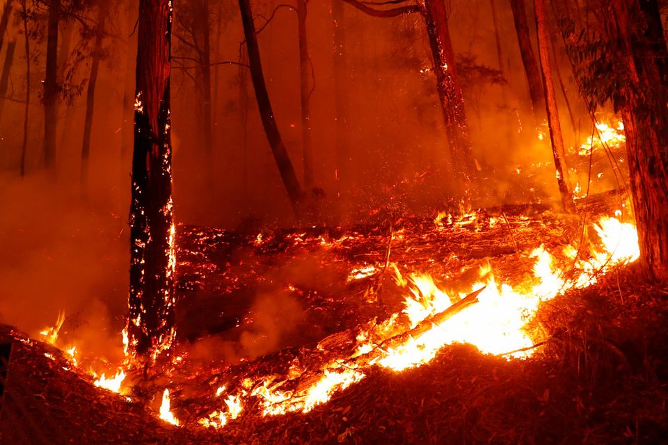 Bushfires rage across Victoria