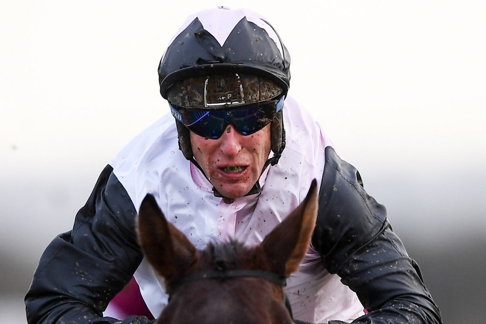 IMPROVING: Pencilfulloflead, with Robbie Power up, jumps the last on their way to winning the Leinster Leader Maiden Hurdle at Punchestown last month. Photo by Harry Murphy/Sportsfile