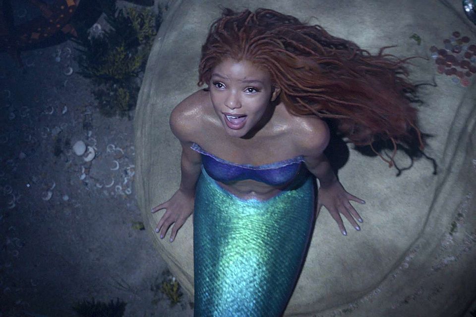 I had to learn how to block out the noise' – 'Little Mermaid' star Halle  Bailey on dealing with online fallout from Disney remake | Irish Independent
