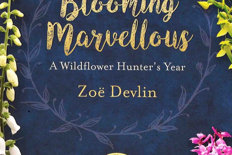 Blooming Marvellous: A Wildflower Hunter's Year