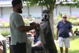 thumbnail: Emile Van Wyk pictured with dog Nala at Dunlaoghaire , Co Dublin…