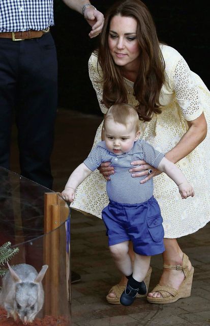 Kate Middleton introduces her eight-month-old son George to a bilby