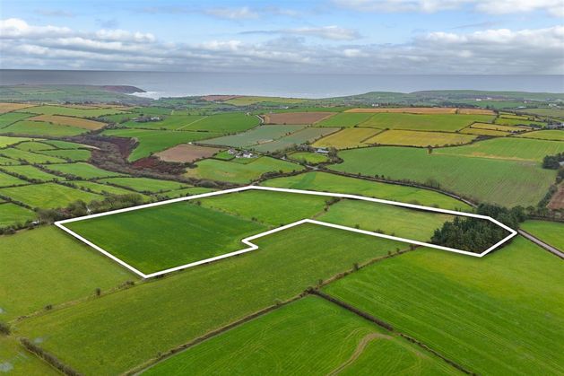 18ac of South Cork tillage land in area with links to political heavyweights goes sale agreed for over €20,000/ac