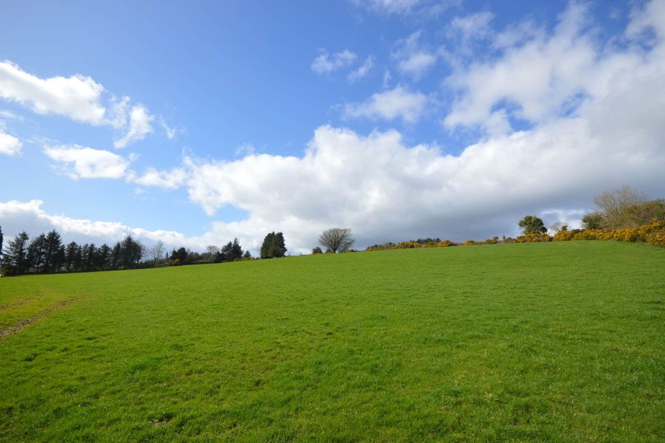 A 68-acre farm in Toberpatrick, Tinahely, south Wicklow.