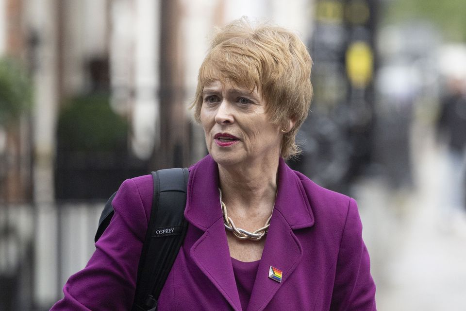 Former chief executive of CHI Eilish Hardiman arriving at Leinster House. Photo: Collins