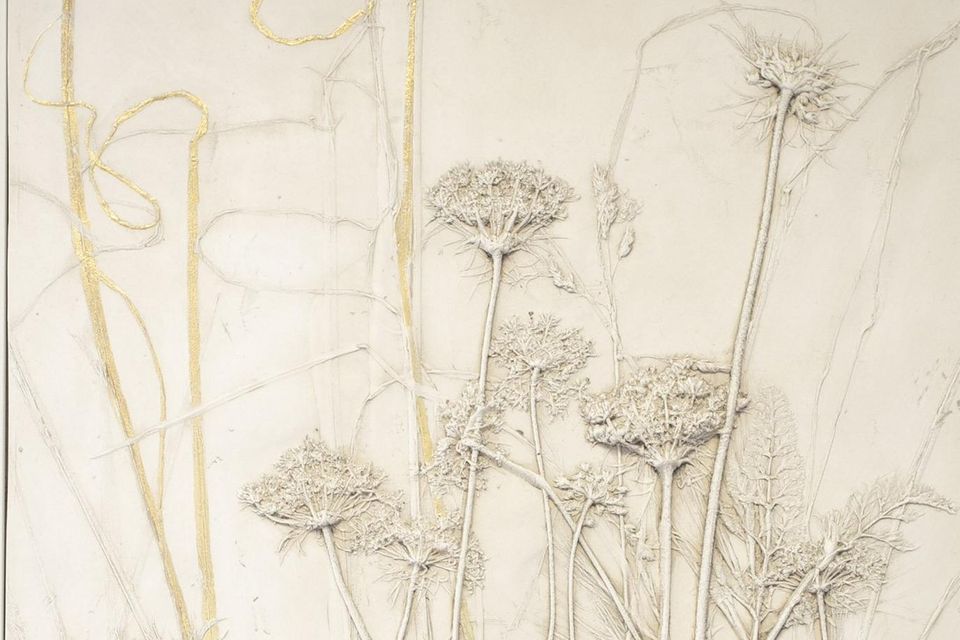 Plaster of Paris botanical impressions
