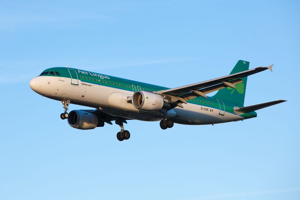 Aer Lingus and Ryanair add 14 extra flights for Ireland s World