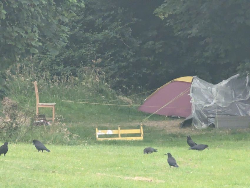 Tents at the Raheen Park area, near Bray Head.