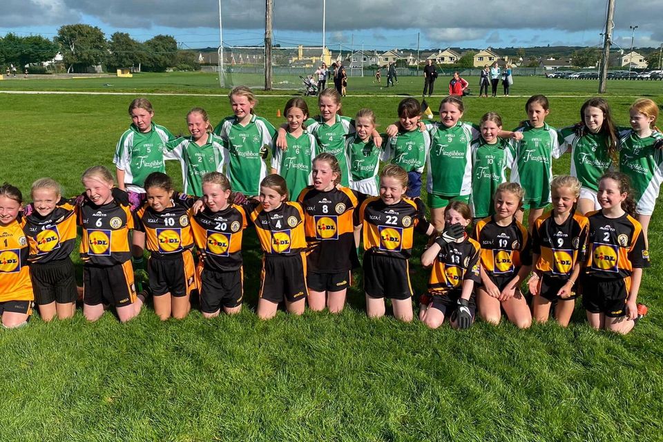 Club News: Austin Stacks Juveniles/Ladies and Na Gaeil GAA | Irish ...