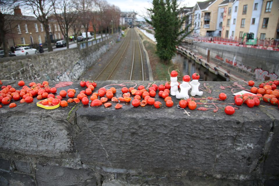 Dublin's newest tourist attraction in Drumcondra, the 'Cherry Tomato Bridge'. Photo: Hannah Daygo