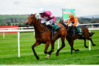 ‘Bumper’ opening to Punchestown Festival as Independent.ie columnist ...