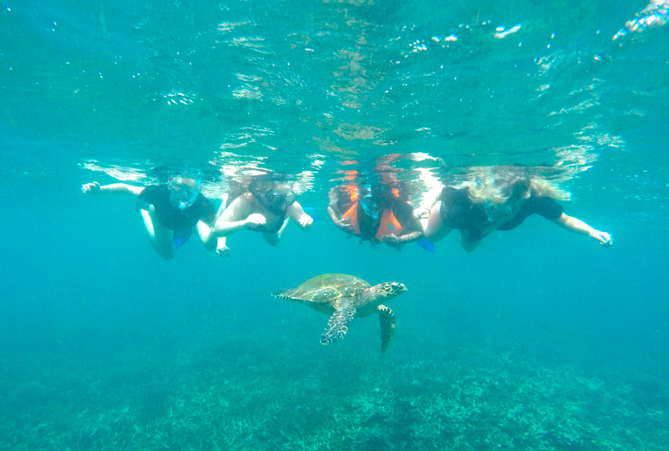 Nicola snorkelling with sea turtle in Sri Lanka.