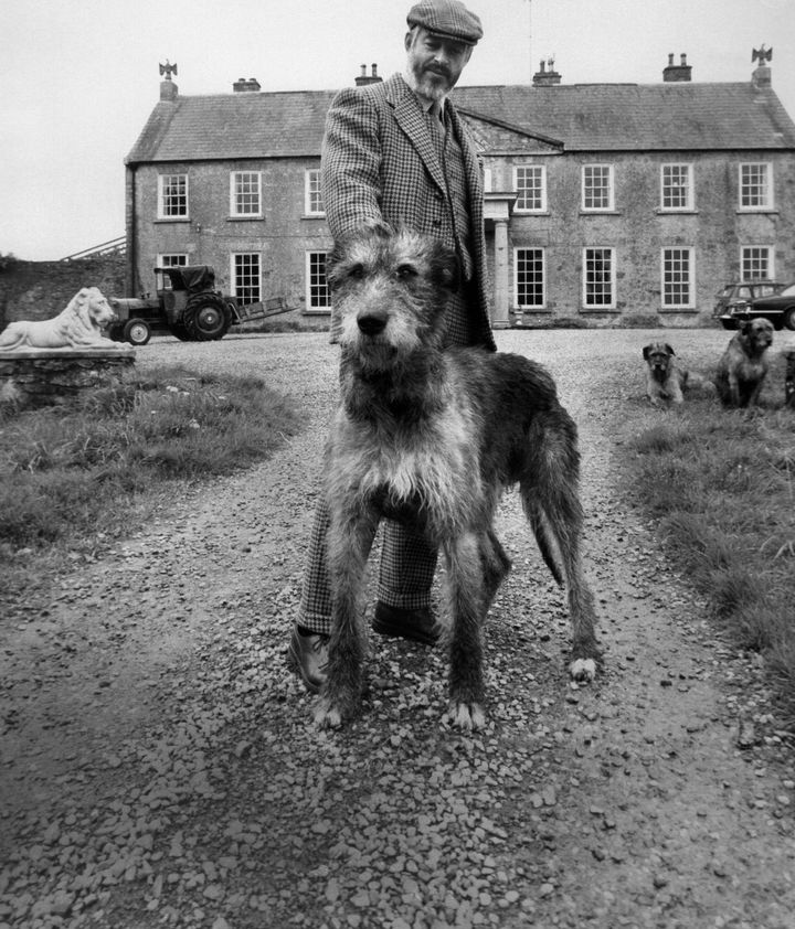 Donal Fallon: ‘The Ginger Man’ shocked censors, critics and theatregoers, but it’s time it was made into a film