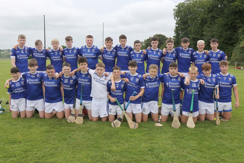 Oylegate-Glenbrien were the best-performing Wexford hurling team in the top division. Photo: John Walsh Photography