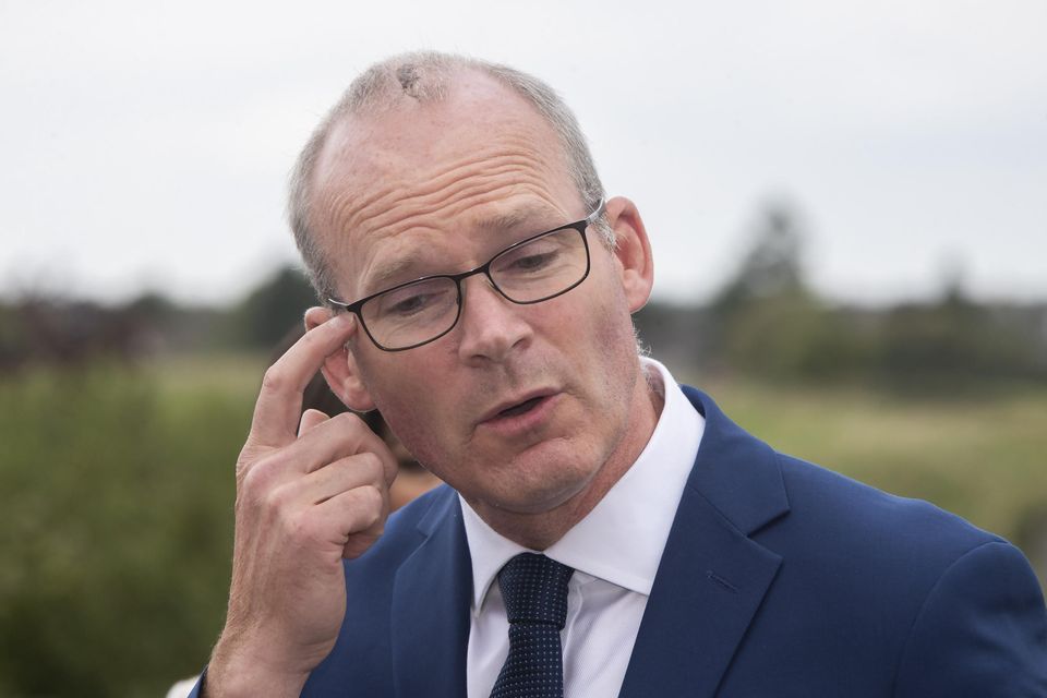 Defence and Foreign Affairs Minister Simon Coveney said his phone had been hacked. Picture by Colin Keegan / Collins Dublin