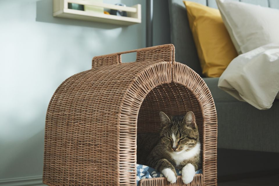 Cat bed from Ikea's Utsådd collection