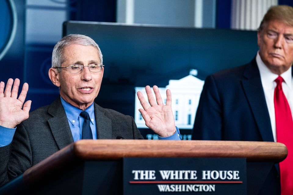 #SAVEFAUCI: Director of the US National Institute of Allergy and Infectious Diseases Dr Anthony Fauci with President Donald Trump during a briefing on the coronavirus pandemic. Photo: Jabin Botsford/The Washington Post via Getty Images