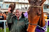 thumbnail: Trainer John Kiely with Carlingford Lough after winning the Irish Gold Cup at Leopardstown. Photo: Brendan Moran / Sportsfile