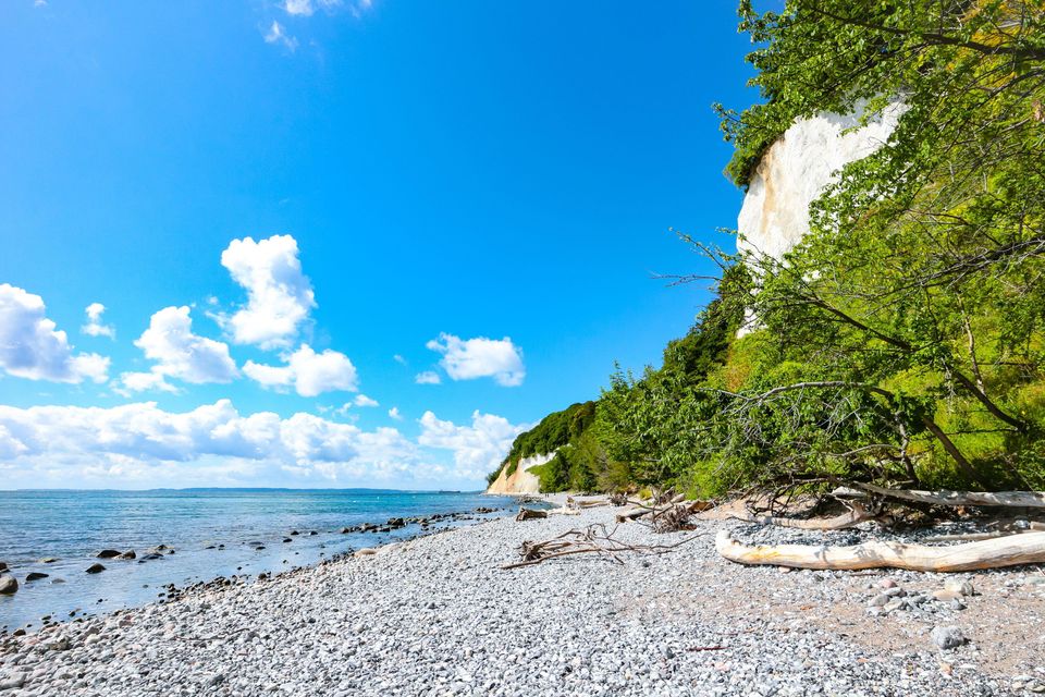 Plage de Berättenslocht sur l'île de Rügen, en Allemagne. Autorité scientifique/palestinienne