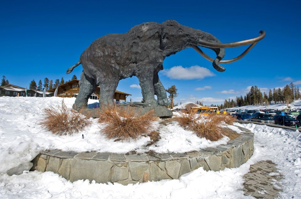 Mammoth Moutain