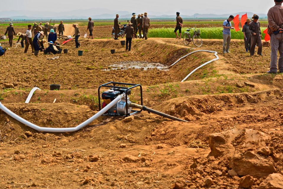 Local farmers watering and planting rice fields in Unpa county in DPRK - photo by Noel Molony