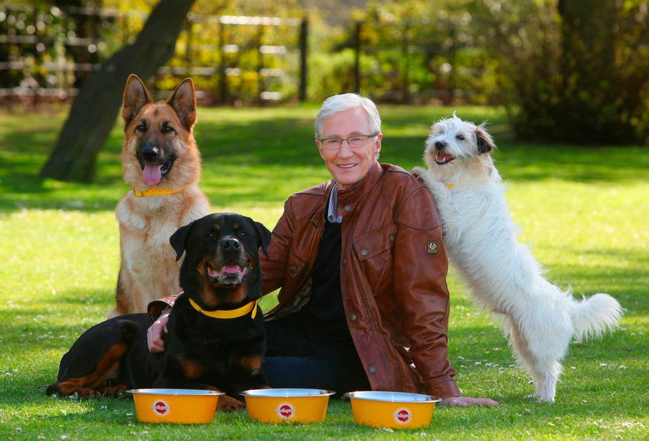 TV presenter Paul O'Grady is best known for his show For the Love of Dogs. Pic: Geoff Caddick/PA