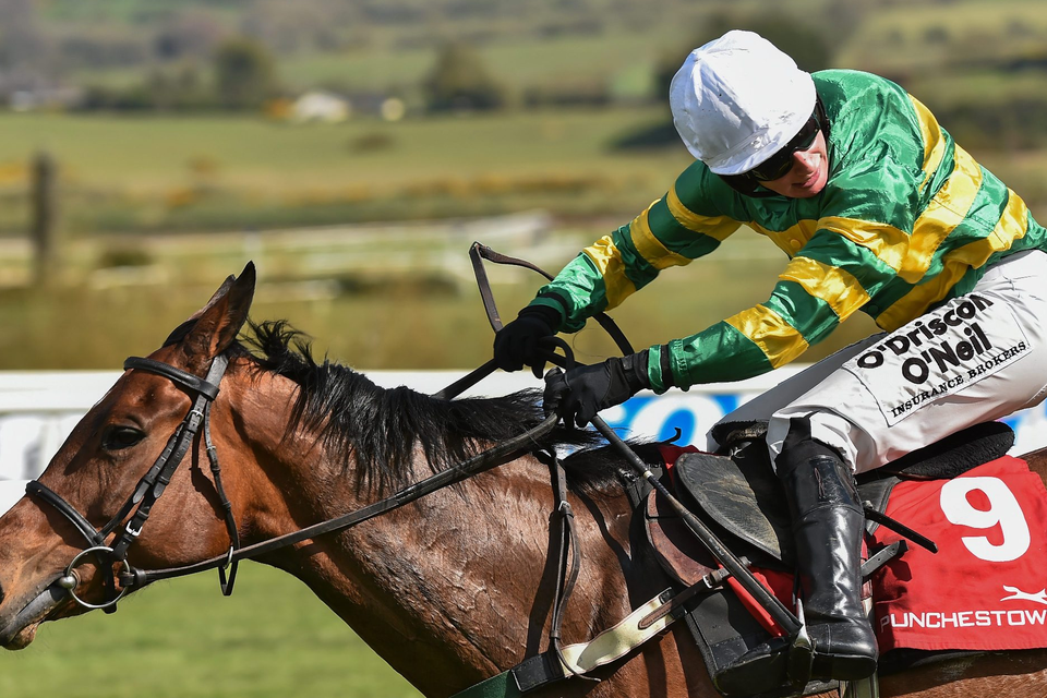 26 April 2016; Wish Ye Didnt, with Nina Carberry up, on their way to winning the Kildare Hunt Club Fr Sean Breen Memorial Steeplechase. Punchestown, Co. Kildare. Picture credit: Paul Mohan / SPORTSFILE