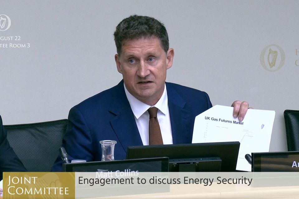 Environment Minister Eamon Ryan. Photo: Oireachtas TV