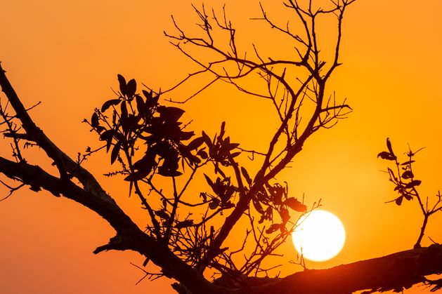 Extreme Summer Heat Threat To Ireland: Record Temperatures ‘now 20 