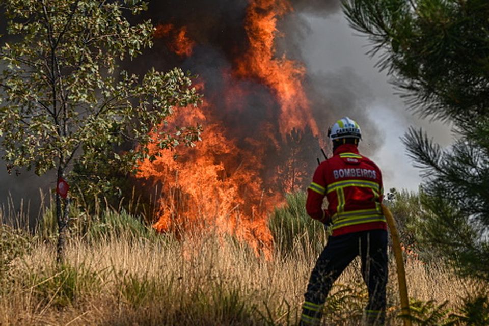 Firefighters trying to contain wildfires in Sao Tome do Castelo, Portugal, last year. Photo: Omar Marques/Anadolu Agency via Getty Images