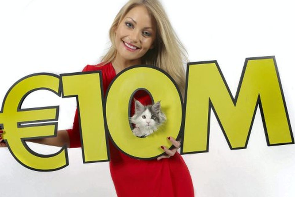 Model Kerri-Nicole Blanc and her litter of 10 lucky kittens celebrate Wednesdays big Lotto jackpot which is an estimated 10 million