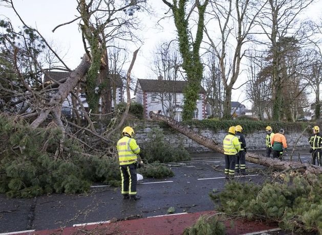 TDs blast ‘unacceptable’ remark from ESB chief that cost of Storm Éowyn likely to be paid by customers