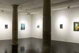 thumbnail: The exhibition is continuing at Wexford Arts Centre until Saturday, March 25.