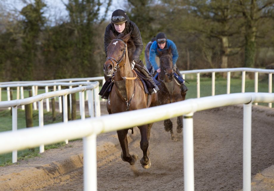 Luke Dempsey puts Derrinross through his paces at the family stables in Derrinturn, Carbury, Co Kildare ahead of Cheltenham