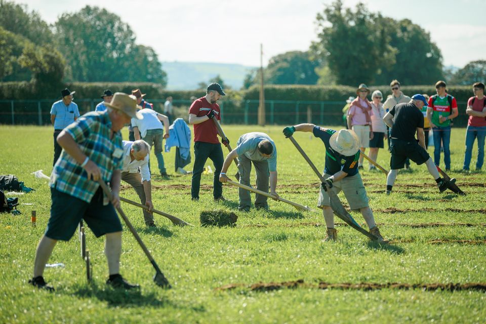 Loy digging on day two of  the National Ploughing Championships in Ratheniska. Pic: Mark Condren