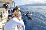 thumbnail: Pilot whales off the coast of south Tenerife. Picture: Pól Ó Conghaile