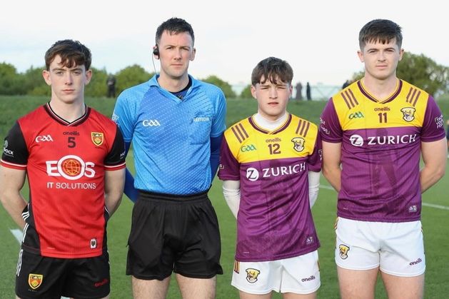 Wexford's All-Ireland hopes are dashed by fine Down second-half