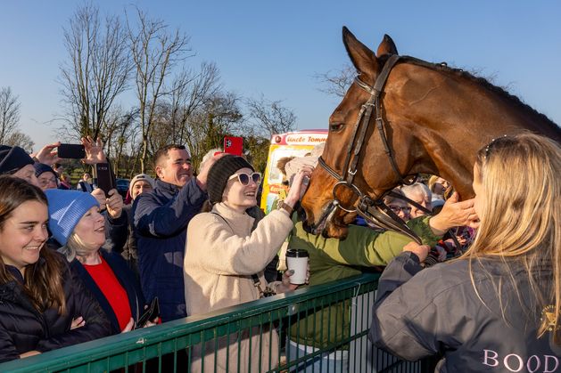 Cheltenham Stars Receive Heroes’ Welcome in Co Meath: Pure Joy Celebrated by Whole Parish