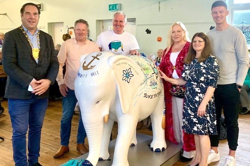 Dublin GAA star Shane Carty and rugby legend Brent Pope have unveiled a brand new 'Elephant in the Room' sculpture in Baldoyle.