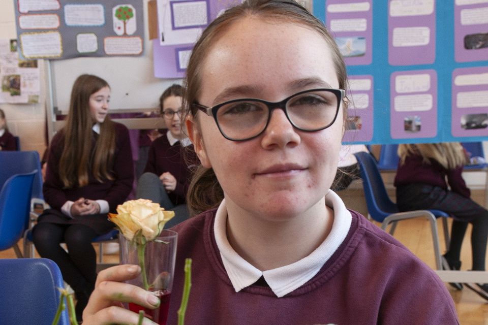 Jenny Molloy with her project at the science fair in Bonscuil Loreto Gori on Friday.  Photo: Jim Campbell