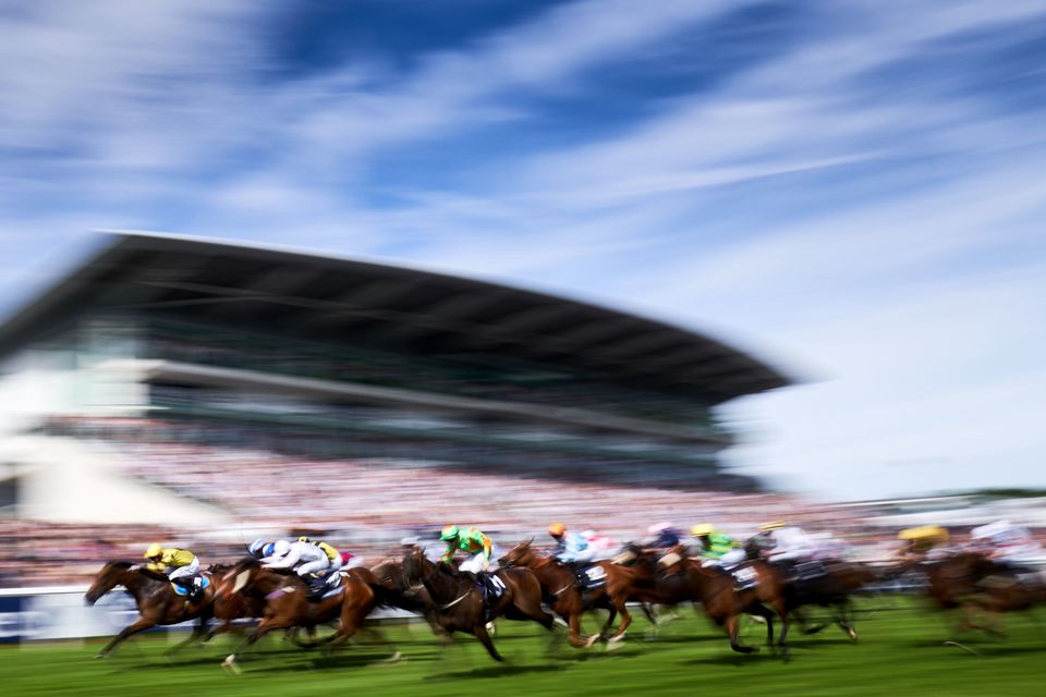 Epsom racecourse exploring feasibility and practicality of