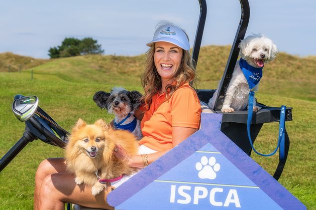 Meath club to host inaugural ISPCA fundraising golf classic