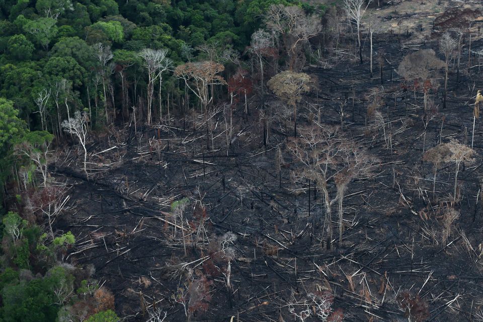 An aerial view of a tract of Amazon jungle after it was cleared by farmers in Itaituba, Para, Brazil September 26, 2019.  Picture taken September 26, 2019. REUTERS/Ricardo Moraes