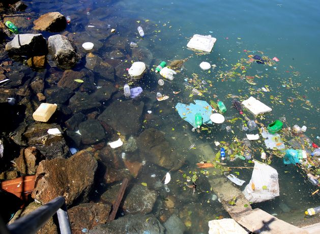 Chinese scientists create self-destructing ‘living plastic’ that can break down in six days