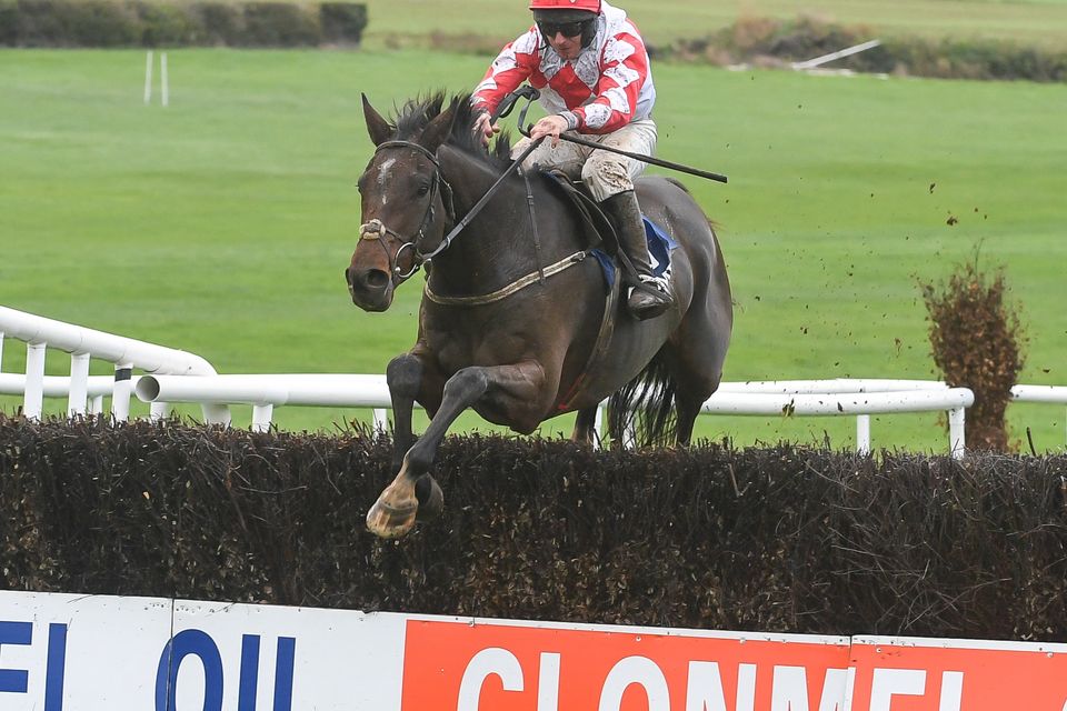 Enright and Cooper have winners at Clonmel, Cork and Punchestown ...