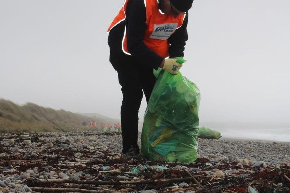 Collecting rubbish on the beach.